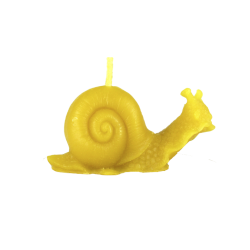 Vela caracol de cera virgen