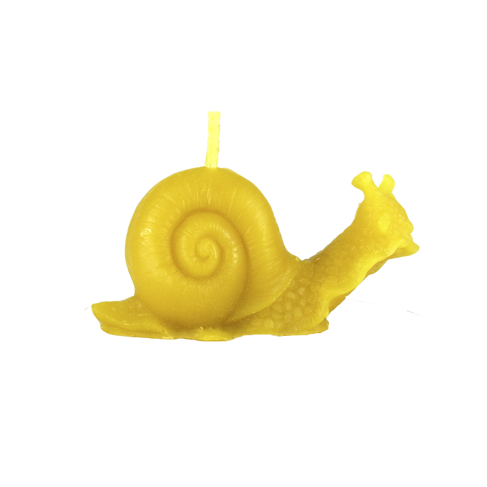Vela caracol de cera virgen
