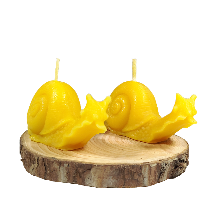 Pack 2 caracoles de cera virgen y base de madera natural