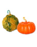 Calabazas